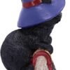 Wiccan Collection~Hocus Small Witches Familiar Black Cat and Spellbook Figurine, Red, 12.7cm