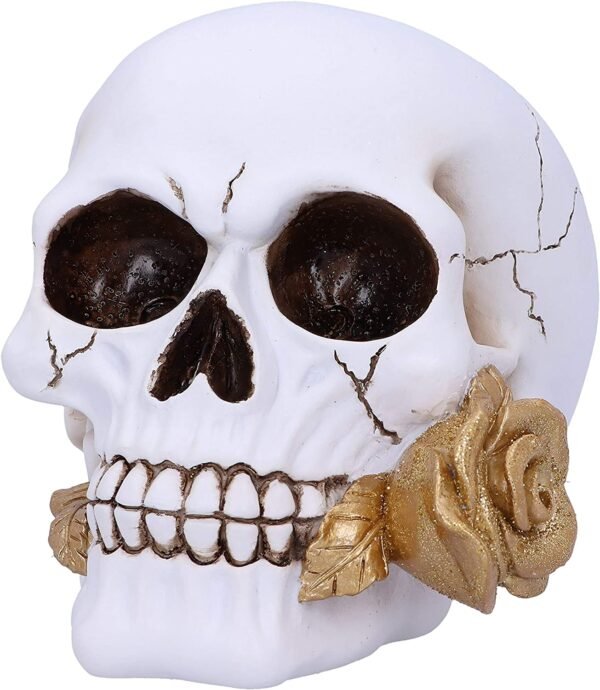 Dark Collection~Floral Fate Golden Rose Skull Ornament, White, 17.5cm