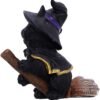 Wiccan Collection~Tabitha Small Witches Familiar Black Cat and Broomstick Figurine, 11cm
