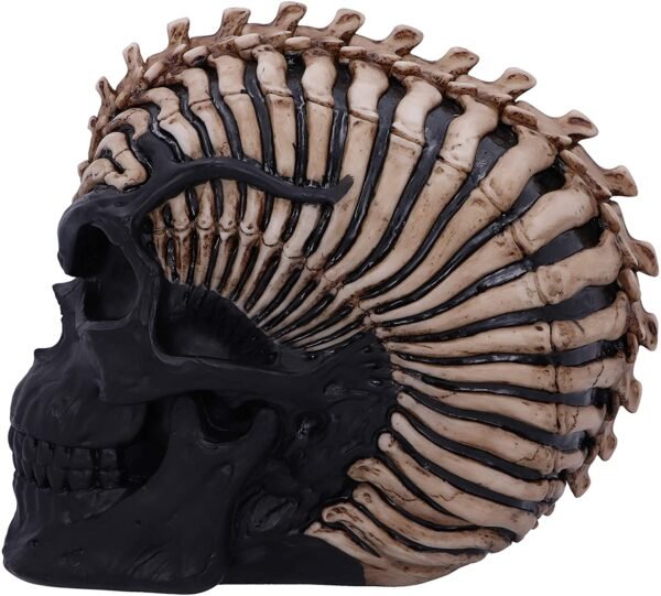 Artist Collections~ Officially Licensed James Ryman Spine Head Skull Skeleton Ornament, Natural, 18.5cm