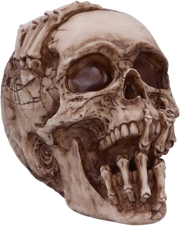Magicun N.Giftware~Officially Licensed James Ryman Breaking Out Skull Skeleton Ornament, 20cm, Natural