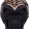 Magicun N.Giftware~Officially Licensed James Ryman Spine Head Skull Skeleton Ornament, 18.5cm, Natural