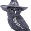 Dark Collection~Owlocen Witches Hat Occult Owl Figurine, Black, 13.5cm