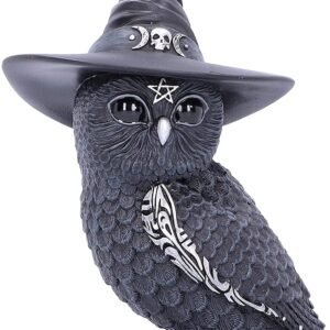 Dark Collection~Owlocen Witches Hat Occult Owl Figurine, Black, 13.5cm