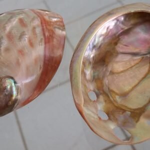 Witchcraft~Red Abalone Shell Incense Burner Polished