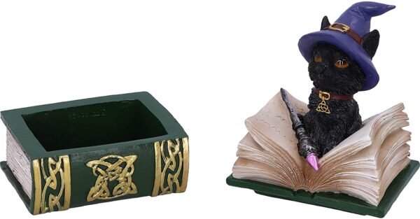 Wiccan Collection~Binx Small Witches Familiar Black Cat and Spellbook Figurine Box, Green, 11cm