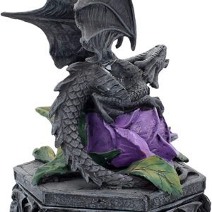 Artist Collections~ Dragon Beauty Anne Stokes Box 25cm Black, Resin