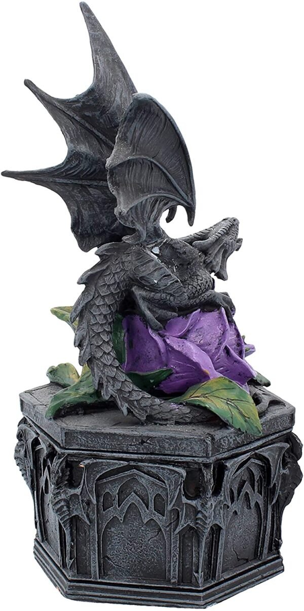 Artist Collections~ Dragon Beauty Anne Stokes Box 25cm Black, Resin