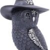 Dark Collection~Owlocen Witches Hat Occult Owl Figurine, Black, 13.5cm