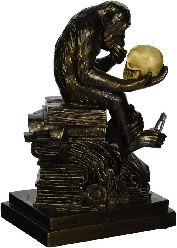 Magicun  Collection~Design Toscano PD0053 Charles Darwin's Ape Human Evolution Figurine Animal Statue, Bronze