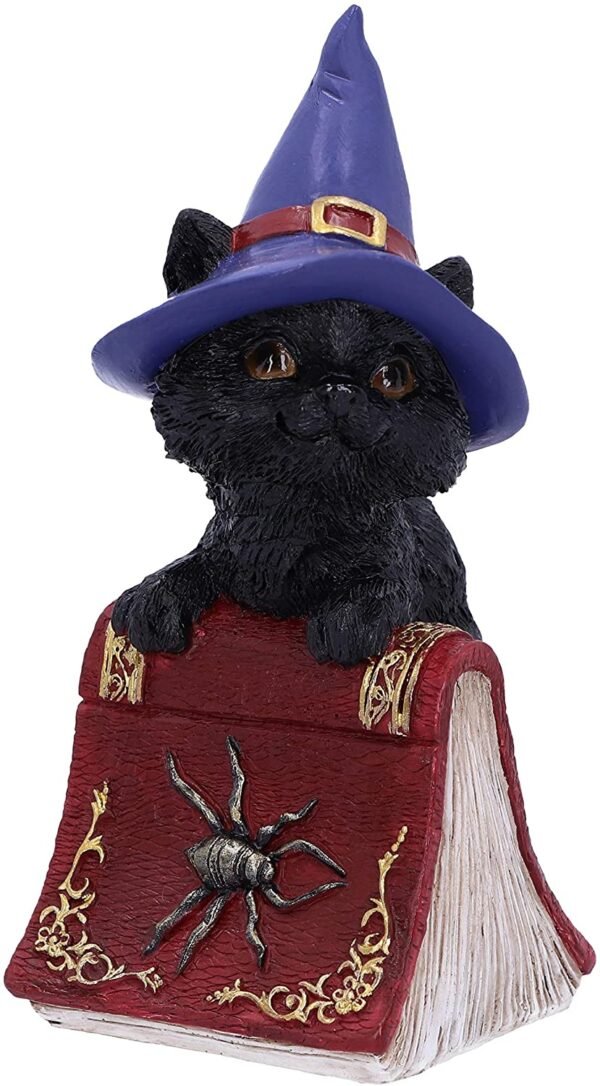 Wiccan Collection~Hocus Small Witches Familiar Black Cat and Spellbook Figurine, Red, 12.7cm
