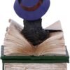 Wiccan Collection~Binx Small Witches Familiar Black Cat and Spellbook Figurine Box, Green, 11cm