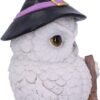 Wiccan Collection~Snowy Magic Witch Owl Familiar Figurine, White, 18cm