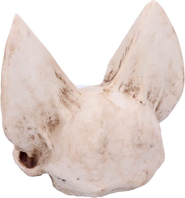 Dark Collection~Vespertilio 17cm, Taupe, One Size