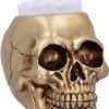 Magicun N.Giftware~Death Golden Skull Toilet Brush Holder, 16.4cm, Gold