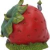 Fantasy Collection~ Strawberry Fields 16.5cm Figurine, Red