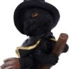 Wiccan Collection~Tabitha Small Witches Familiar Black Cat and Broomstick Figurine, 11cm