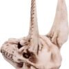Mythology Collection~ D4736P9 Anubis Skull Figurine 17cm, Resin, Taupe, One Size