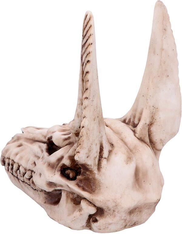 Mythology Collection~ D4736P9 Anubis Skull Figurine 17cm, Resin, Taupe, One Size