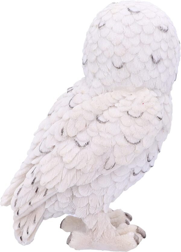 Magicun N.Giftware~Snowy Watch Small 13.3cm, Resin, White, One Size