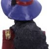 Wiccan Collection~Hocus Small Witches Familiar Black Cat and Spellbook Figurine, Red, 12.7cm