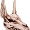 Mythology Collection~ D4736P9 Anubis Skull Figurine 17cm, Resin, Taupe, One Size
