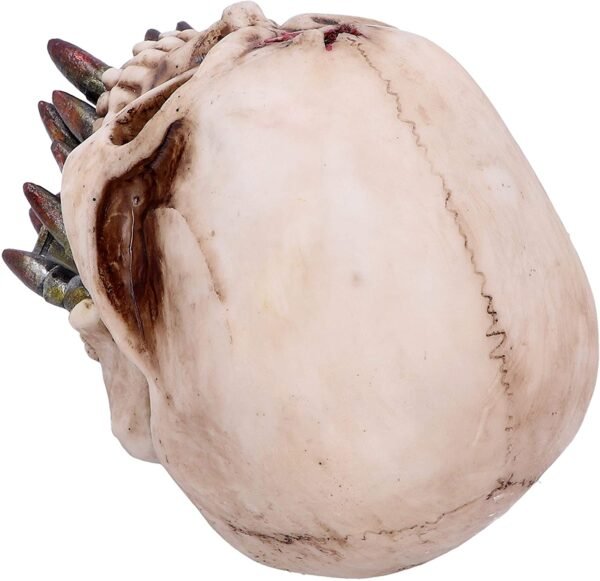 Dark Collection~Bite The Bullet 15cm, Taupe, One Size