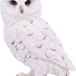 Magicun N.Giftware~Snowy Watch Small 13.3cm, Resin, White, One Size