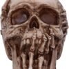 Magicun N.Giftware~Officially Licensed James Ryman Breaking Out Skull Skeleton Ornament, 20cm, Natural