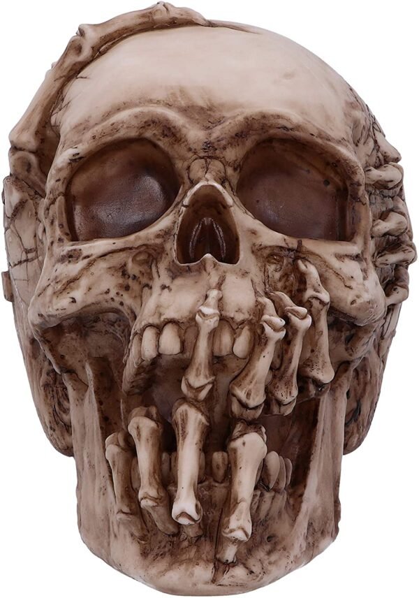 Magicun N.Giftware~Officially Licensed James Ryman Breaking Out Skull Skeleton Ornament, 20cm, Natural