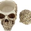 Magic  Collection~Design Toscano CL76381 Skull's Soul Spirit Sculptural Box,Full Color