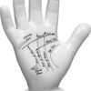 Magic  Collection~Design Toscano PD9903 The Palmistry Hand Sculpture,ancient ivory
