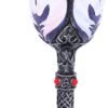 Nemesis Now U4811P9 Beloved Goblet 19.8cm, Resin w. Stainless Steel
