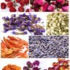 Witchcraft~PNANA Dried Flowers - Bath Bomb Making Kit Tea Bulk of Lavender Buds, Rosebud, Jasmine, Chamomile, Also for Cake Decorations Candle Making Soap Making kit