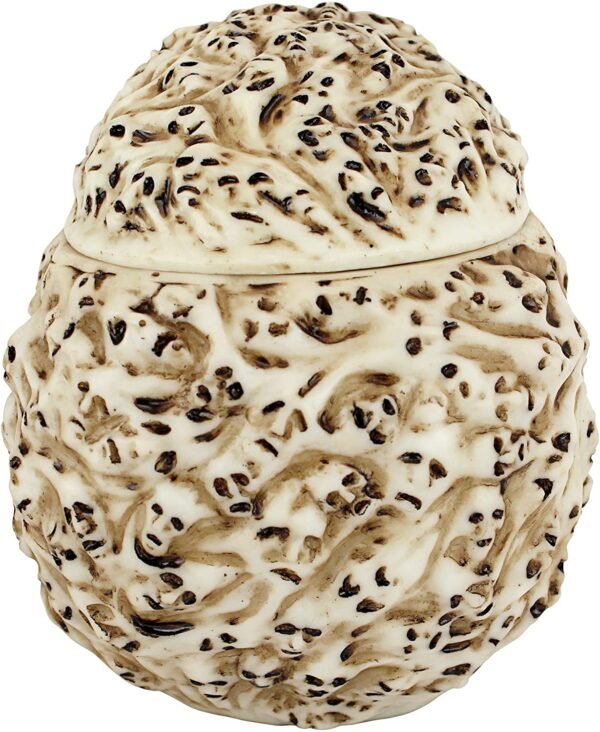 Magic  Collection~Design Toscano CL76381 Skull's Soul Spirit Sculptural Box,Full Color