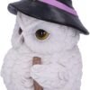 Wiccan Collection~Snowy Magic Witch Owl Familiar Figurine, White, 18cm