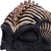 Magicun N.Giftware~Officially Licensed James Ryman Spine Head Skull Skeleton Ornament, 18.5cm, Natural