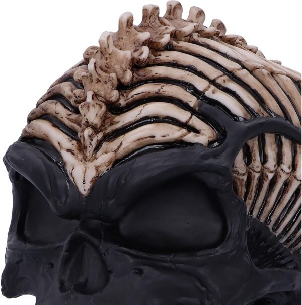 Magicun N.Giftware~Officially Licensed James Ryman Spine Head Skull Skeleton Ornament, 18.5cm, Natural