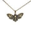 Big Skull and Dead Moth Head Insect Jewellery Butterfly Pendant Necklace