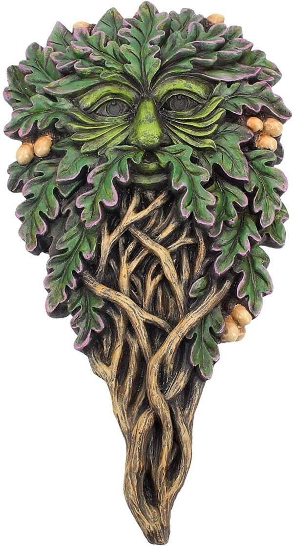 Light Collection~All Seeing Oak Wall Plaque 18cm Green