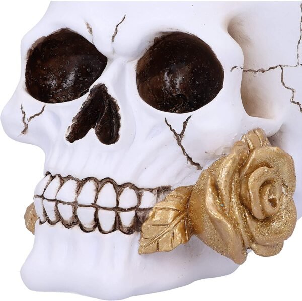 Dark Collection~Floral Fate Golden Rose Skull Ornament, White, 17.5cm