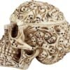 Magic  Collection~Design Toscano CL76381 Skull's Soul Spirit Sculptural Box,Full Color