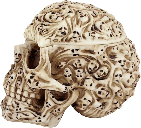 Magic  Collection~Design Toscano CL76381 Skull's Soul Spirit Sculptural Box,Full Color