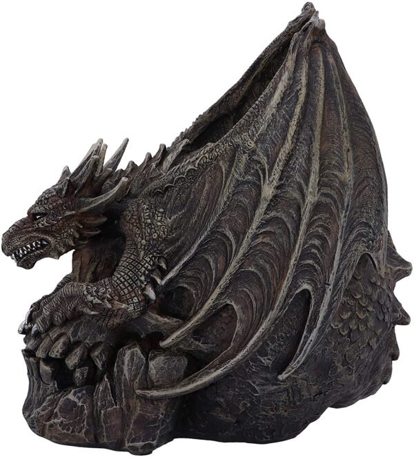 Artist Collections~ Spiral Dark Gothic Draco Skull Dragon Figurine Ornament, Brown, 19cm