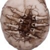 Magicun N.Giftware~Officially Licensed James Ryman Breaking Out Skull Skeleton Ornament, 20cm, Natural