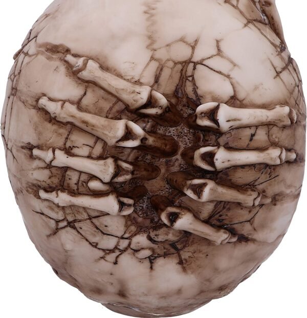 Magicun N.Giftware~Officially Licensed James Ryman Breaking Out Skull Skeleton Ornament, 20cm, Natural