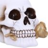 Dark Collection~Floral Fate Golden Rose Skull Ornament, White, 17.5cm
