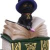 Wiccan Collection~Binx Small Witches Familiar Black Cat and Spellbook Figurine Box, Green, 11cm