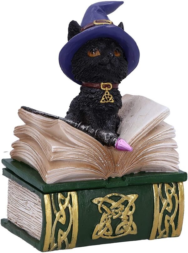 Wiccan Collection~Binx Small Witches Familiar Black Cat and Spellbook Figurine Box, Green, 11cm