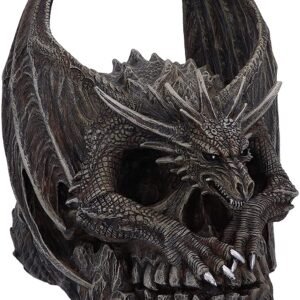 Artist Collections~ Spiral Dark Gothic Draco Skull Dragon Figurine Ornament, Brown, 19cm